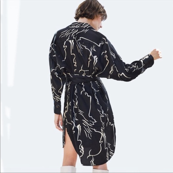Zara Dresses & Skirts - COPY - Zara dress